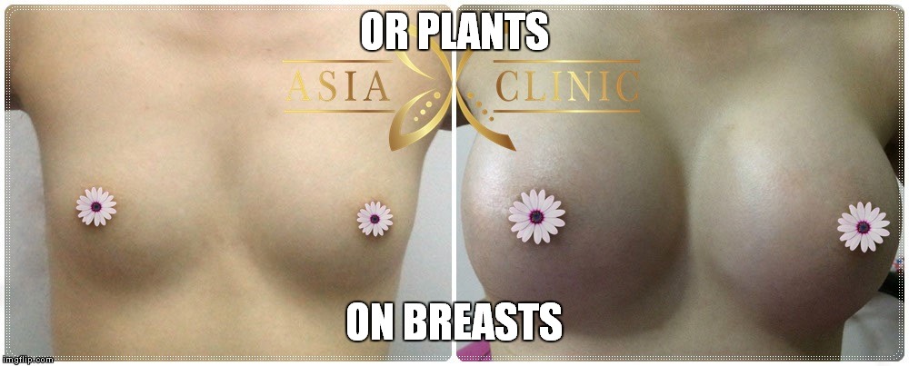 OR PLANTS ON BREASTS | made w/ Imgflip meme maker