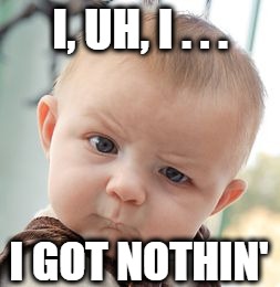 Skeptical Baby Meme | I, UH, I . . . I GOT NOTHIN' | image tagged in memes,skeptical baby | made w/ Imgflip meme maker