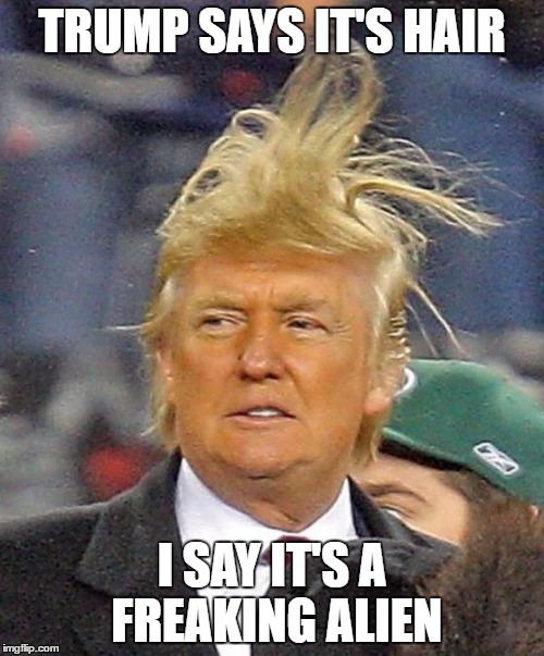 Donald Trumph hair | TRUMP SAYS IT'S HAIR; I SAY IT'S A FREAKING ALIEN | image tagged in donald trumph hair | made w/ Imgflip meme maker