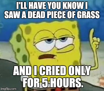 I'll Have You Know Spongebob | I'LL HAVE YOU KNOW I SAW A DEAD PIECE OF GRASS; AND I CRIED ONLY FOR 5 HOURS. | image tagged in memes,ill have you know spongebob | made w/ Imgflip meme maker