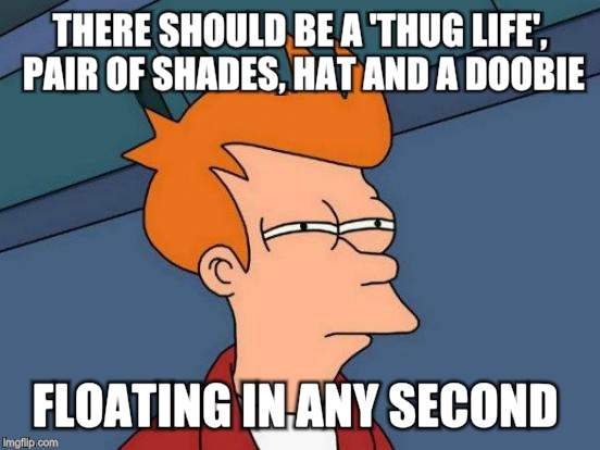 Futurama Fry Meme | THERE SHOULD BE A 'THUG LIFE', PAIR OF SHADES, HAT AND A DOOBIE FLOATING IN ANY SECOND | image tagged in memes,futurama fry | made w/ Imgflip meme maker