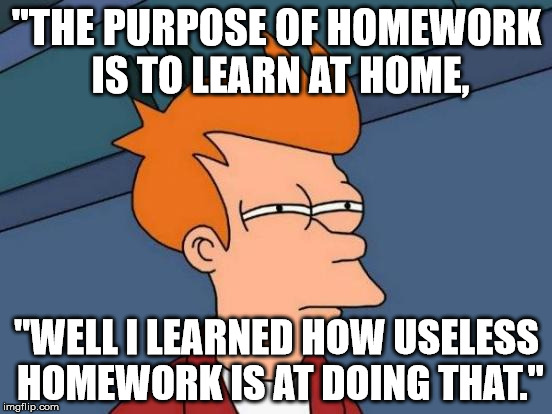 Futurama Fry | "THE PURPOSE OF HOMEWORK IS TO LEARN AT HOME, "WELL I LEARNED HOW USELESS HOMEWORK IS AT DOING THAT." | image tagged in memes,futurama fry | made w/ Imgflip meme maker