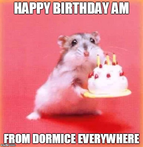 birthday hamster | HAPPY BIRTHDAY AM; FROM DORMICE EVERYWHERE | image tagged in birthday hamster | made w/ Imgflip meme maker