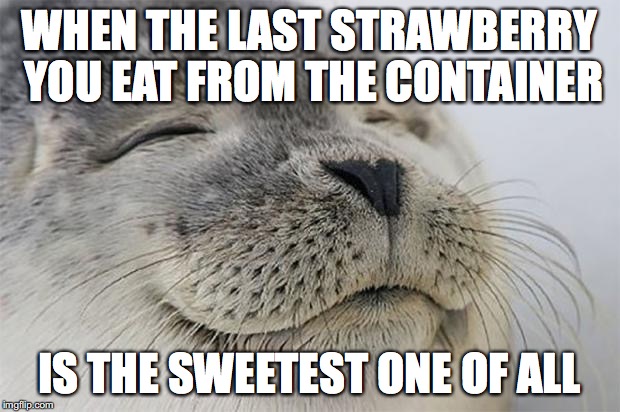 Satisfied Seal | WHEN THE LAST STRAWBERRY YOU EAT FROM THE CONTAINER; IS THE SWEETEST ONE OF ALL | image tagged in memes,satisfied seal,AdviceAnimals | made w/ Imgflip meme maker