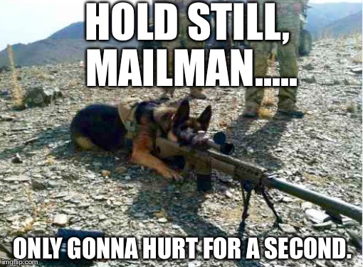 The Battle Between Dog vs. Mailman Just Got Real: | HOLD STILL, MAILMAN..... ONLY GONNA HURT FOR A SECOND. | image tagged in memes,dogs,lmfao | made w/ Imgflip meme maker