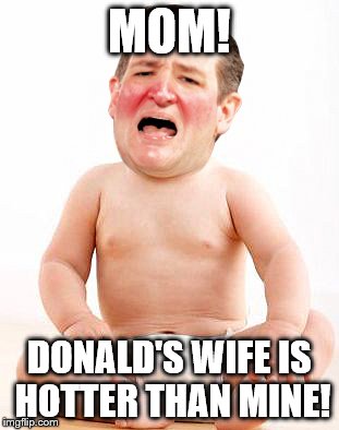 Cry Baby Cruz | MOM! DONALD'S WIFE IS HOTTER THAN MINE! | image tagged in cry baby cruz | made w/ Imgflip meme maker