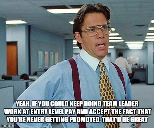 Boss | YEAH, IF YOU COULD KEEP DOING TEAM LEADER WORK AT ENTRY LEVEL PAY AND ACCEPT THE FACT THAT YOU'RE NEVER GETTING PROMOTED, THAT'D BE GREAT | image tagged in boss | made w/ Imgflip meme maker