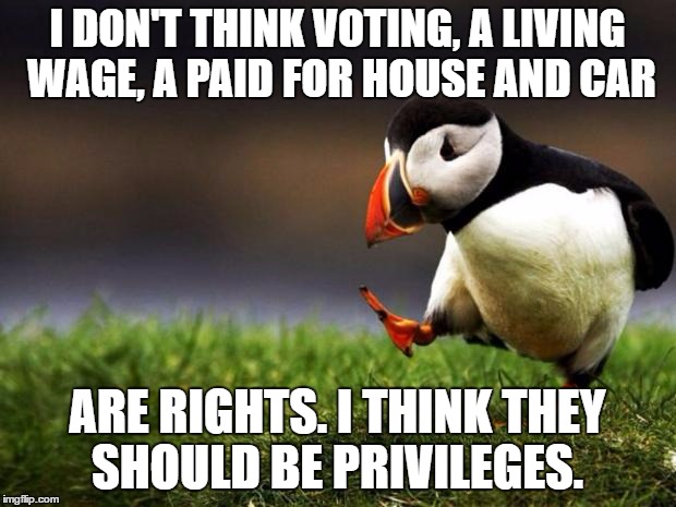 Unpopular Opinion Puffin | I DON'T THINK VOTING, A LIVING WAGE, A PAID FOR HOUSE AND CAR; ARE RIGHTS. I THINK THEY SHOULD BE PRIVILEGES. | image tagged in memes,unpopular opinion puffin | made w/ Imgflip meme maker