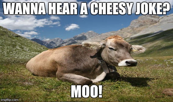 Cheesy cow joke | WANNA HEAR A CHEESY JOKE? MOO! | image tagged in cheese | made w/ Imgflip meme maker