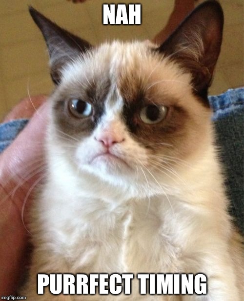 Grumpy Cat Meme | NAH PURRFECT TIMING | image tagged in memes,grumpy cat | made w/ Imgflip meme maker