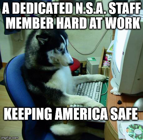 I Have No Idea What I Am Doing | A DEDICATED N.S.A. STAFF MEMBER HARD AT WORK; KEEPING AMERICA SAFE | image tagged in memes,i have no idea what i am doing | made w/ Imgflip meme maker