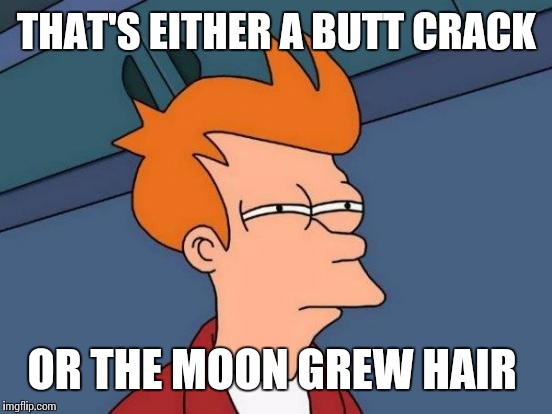 Futurama Fry Meme | THAT'S EITHER A BUTT CRACK OR THE MOON GREW HAIR | image tagged in memes,futurama fry | made w/ Imgflip meme maker