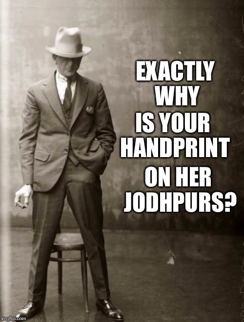 Government Agent Man | EXACTLY WHY IS YOUR HANDPRINT ON HER JODHPURS? | image tagged in government agent man | made w/ Imgflip meme maker