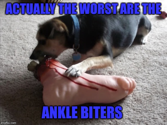 ACTUALLY THE WORST ARE THE ANKLE BITERS | made w/ Imgflip meme maker