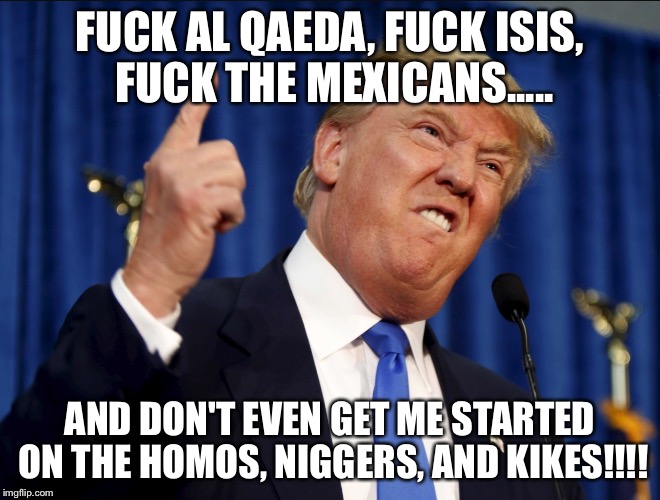 Public perception or reality | FUCK AL QAEDA, FUCK ISIS, FUCK THE MEXICANS..... AND DON'T EVEN GET ME STARTED ON THE HOMOS, NIGGERS, AND KIKES!!!! | image tagged in donald trump | made w/ Imgflip meme maker