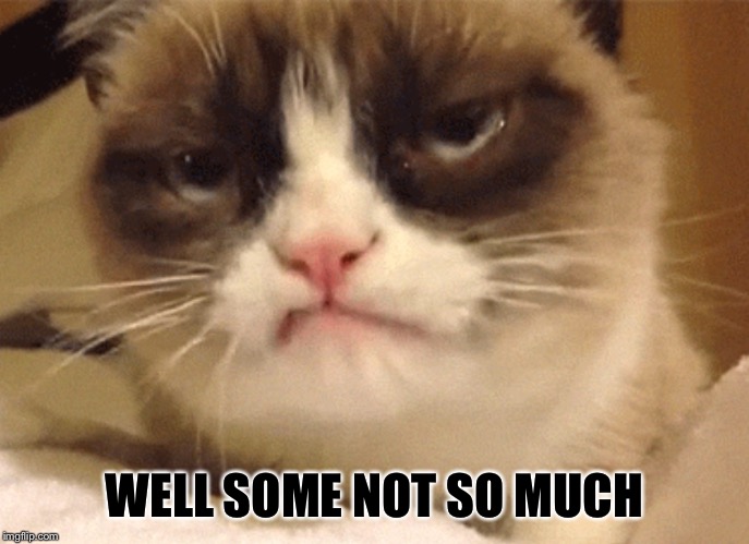 DISAPPROVING GRUMPY CAT | WELL SOME NOT SO MUCH | image tagged in disapproving grumpy cat | made w/ Imgflip meme maker