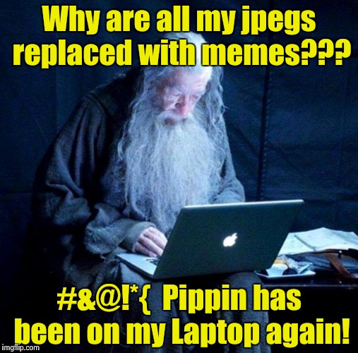 When Password protection began | Why are all my jpegs replaced with memes??? #&@!*{  Pippin has been on my Laptop again! | image tagged in gandalf looking facebook | made w/ Imgflip meme maker