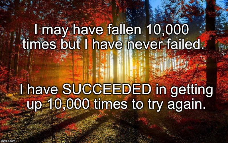 fall trees | I may have fallen 10,000 times but I have never failed. I have SUCCEEDED in getting up 10,000 times to try again. | image tagged in fall trees | made w/ Imgflip meme maker