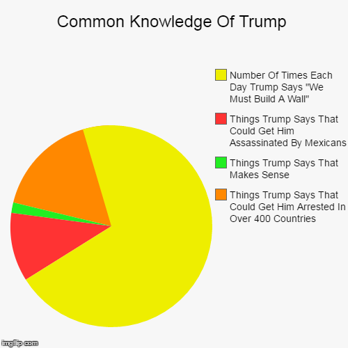 Common Knowledge Of Trump | image tagged in funny,pie charts,trump,we must build a wall,mexicans | made w/ Imgflip chart maker