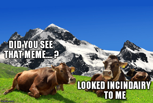 DID YOU SEE THAT MEME.... ? LOOKED INCINDAIRY TO ME | made w/ Imgflip meme maker