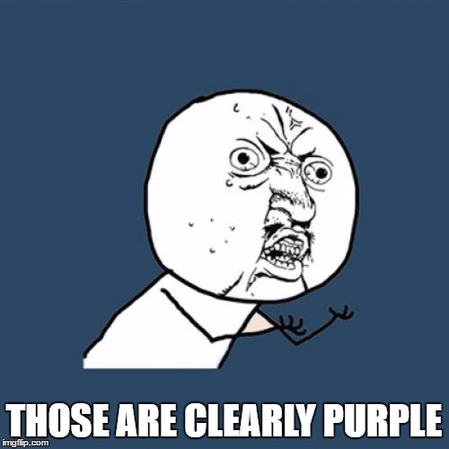 Y U No Meme | THOSE ARE CLEARLY PURPLE | image tagged in memes,y u no | made w/ Imgflip meme maker