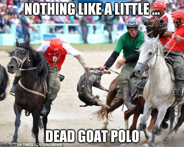 NOTHING LIKE A LITTLE ... DEAD GOAT POLO | made w/ Imgflip meme maker