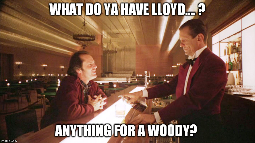 WHAT DO YA HAVE LLOYD.... ? ANYTHING FOR A WOODY? | made w/ Imgflip meme maker