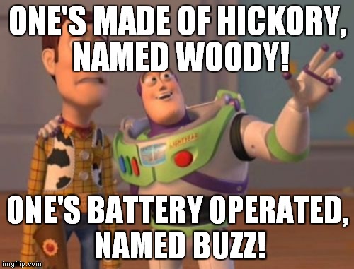 X, X Everywhere Meme | ONE'S MADE OF HICKORY, NAMED WOODY! ONE'S BATTERY OPERATED, NAMED BUZZ! | image tagged in memes,x x everywhere | made w/ Imgflip meme maker