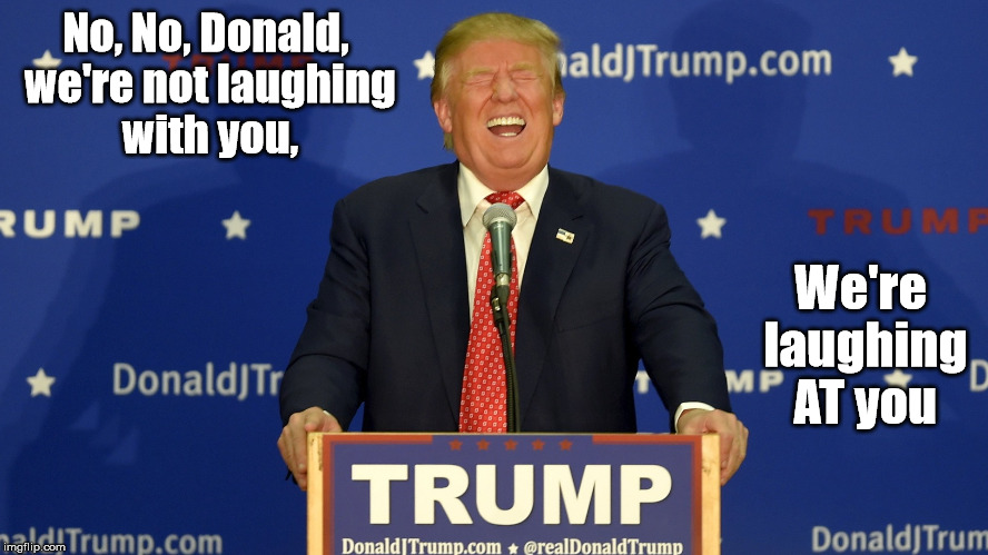Donald Idiot | No, No, Donald, we're not laughing with you, We're laughing AT you | image tagged in donald trump,trump,trump 2016 | made w/ Imgflip meme maker