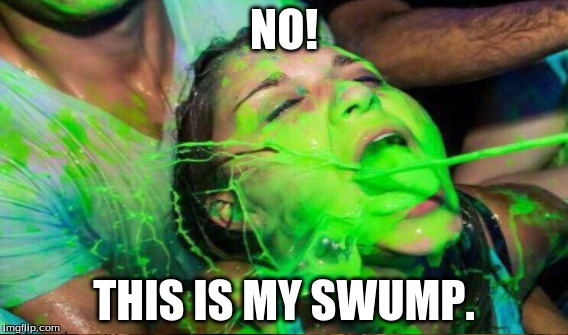 Li'l Miss Trespasser | NO! THIS IS MY SWUMP. | image tagged in shrek,swamp,brogress,girl,cum,slime | made w/ Imgflip meme maker