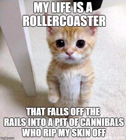 My life | MY LIFE IS A ROLLERCOASTER; THAT FALLS OFF THE RAILS INTO A PIT OF CANNIBALS WHO RIP MY SKIN OFF | image tagged in memes,cute cat,my life | made w/ Imgflip meme maker