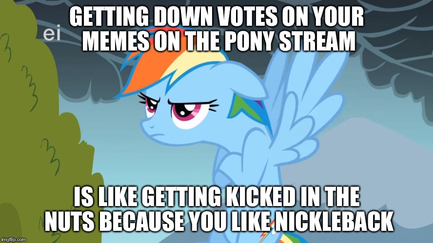 GETTING DOWN VOTES ON YOUR MEMES ON THE PONY STREAM; IS LIKE GETTING KICKED IN THE NUTS BECAUSE YOU LIKE NICKLEBACK | image tagged in rainbow dash | made w/ Imgflip meme maker