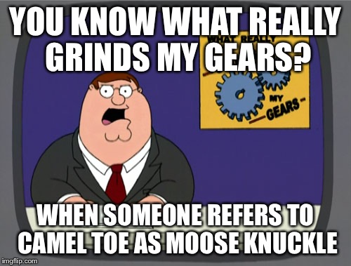 Peter Griffin News | YOU KNOW WHAT REALLY GRINDS MY GEARS? WHEN SOMEONE REFERS TO CAMEL TOE AS MOOSE KNUCKLE | image tagged in memes,peter griffin news | made w/ Imgflip meme maker
