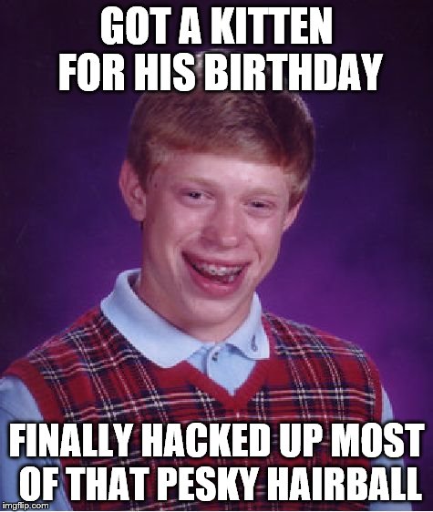 Bad Luck Brian | GOT A KITTEN FOR HIS BIRTHDAY; FINALLY HACKED UP MOST OF THAT PESKY HAIRBALL | image tagged in memes,bad luck brian | made w/ Imgflip meme maker