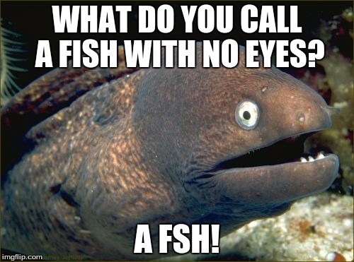 Bad Joke Eel Meme | WHAT DO YOU CALL A FISH WITH NO EYES? A FSH! | image tagged in memes,bad joke eel | made w/ Imgflip meme maker