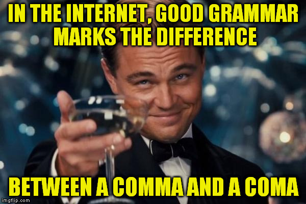 Leonardo Dicaprio Cheers Meme | IN THE INTERNET, GOOD GRAMMAR MARKS THE DIFFERENCE; BETWEEN A COMMA AND A COMA | image tagged in memes,leonardo dicaprio cheers | made w/ Imgflip meme maker