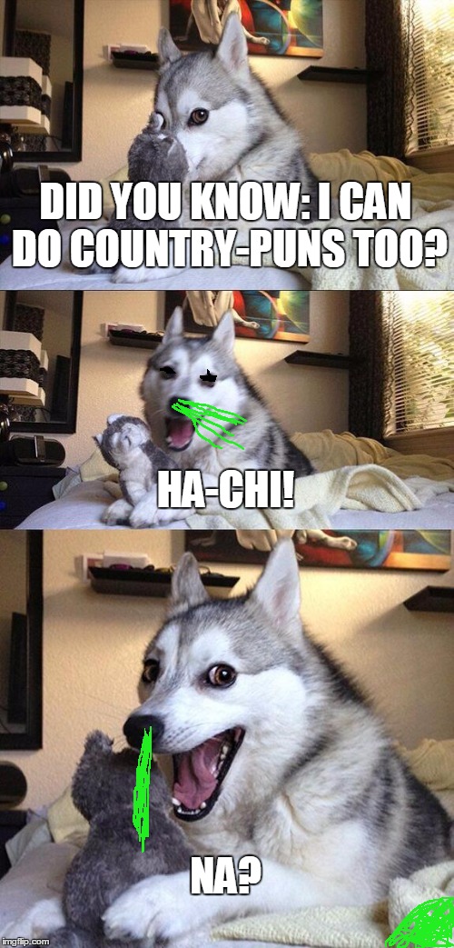 i hope the closed eyes dont look to creepy... | DID YOU KNOW: I CAN DO COUNTRY-PUNS TOO? HA-CHI! NA? | image tagged in memes,bad pun dog | made w/ Imgflip meme maker