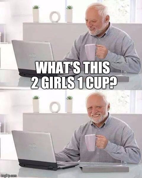 Hide the Pain Harold | WHAT'S THIS 2 GIRLS 1 CUP? | image tagged in memes,hide the pain harold | made w/ Imgflip meme maker