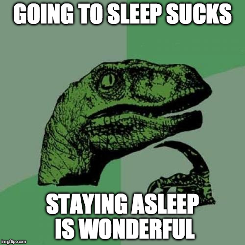 Philosoraptor | GOING TO SLEEP SUCKS; STAYING ASLEEP IS WONDERFUL | image tagged in memes,philosoraptor | made w/ Imgflip meme maker