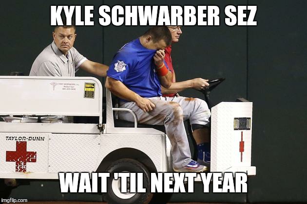 LOSERS, 2016 EDITION | KYLE SCHWARBER SEZ; WAIT 'TIL NEXT YEAR | image tagged in chicago cubs,losers,cubs,sports | made w/ Imgflip meme maker