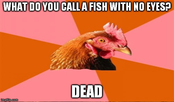 WHAT DO YOU CALL A FISH WITH NO EYES? DEAD | made w/ Imgflip meme maker