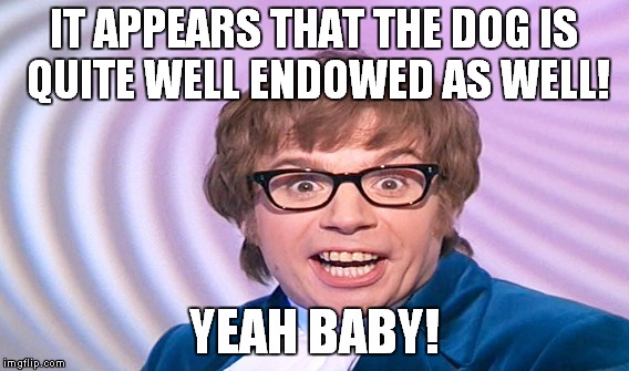 IT APPEARS THAT THE DOG IS QUITE WELL ENDOWED AS WELL! YEAH BABY! | made w/ Imgflip meme maker