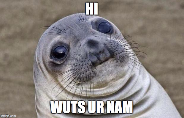 Awkward Moment Sealion | HI; WUTS UR NAM | image tagged in memes,awkward moment sealion | made w/ Imgflip meme maker