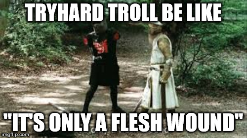 TRYHARD TROLL BE LIKE "IT'S ONLY A FLESH WOUND" | made w/ Imgflip meme maker