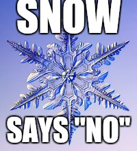 SNOW; SAYS "NO" | image tagged in snowflake | made w/ Imgflip meme maker