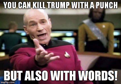 Picard Wtf Meme | YOU CAN KILL TRUMP WITH A PUNCH BUT ALSO WITH WORDS! | image tagged in memes,picard wtf | made w/ Imgflip meme maker