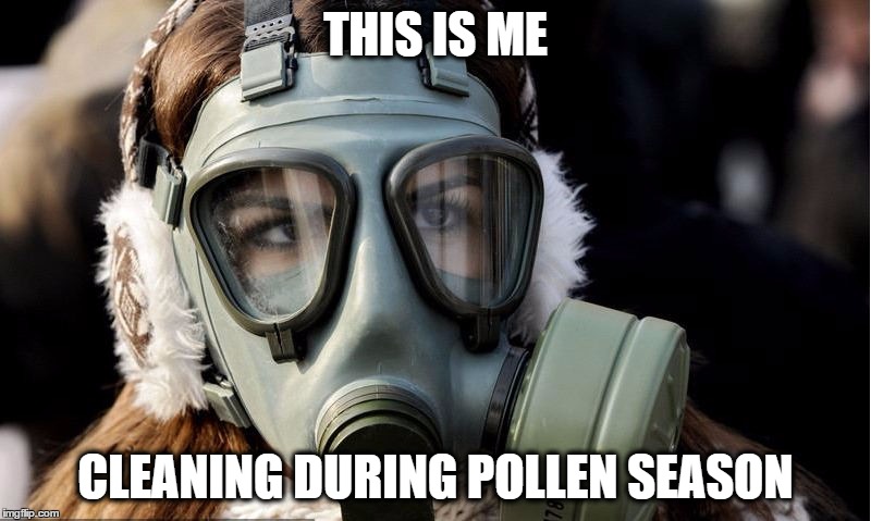 THIS IS ME; CLEANING DURING POLLEN SEASON | image tagged in pollen season | made w/ Imgflip meme maker