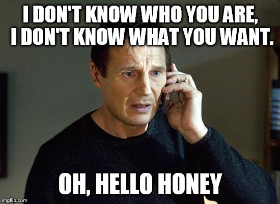 Liam Neeson Taken 2 | I DON'T KNOW WHO YOU ARE, I DON'T KNOW WHAT YOU WANT. OH, HELLO HONEY | image tagged in memes,liam neeson taken 2 | made w/ Imgflip meme maker
