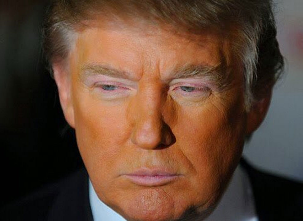 Orange Donald Trump  Blank Meme Template