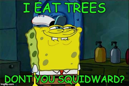 Don't You Squidward Meme | I EAT TREES; DONT YOU SQUIDWARD? | image tagged in memes,dont you squidward | made w/ Imgflip meme maker